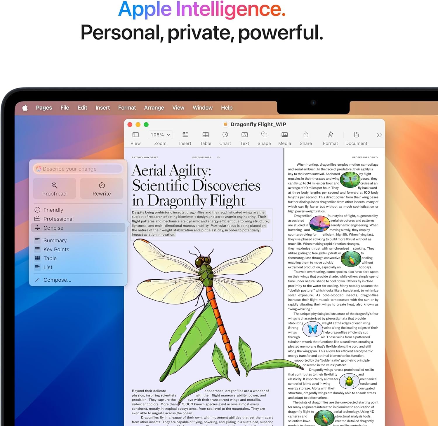 Affordable Ultrabook in action